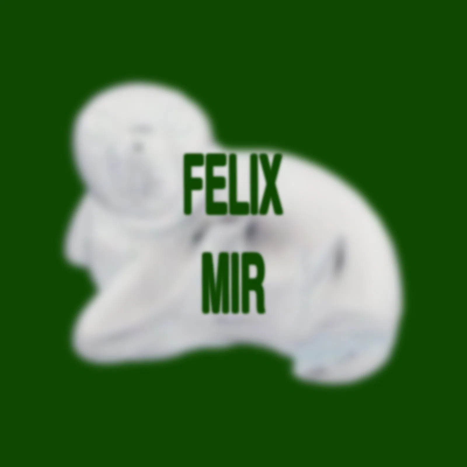 Felix Mir